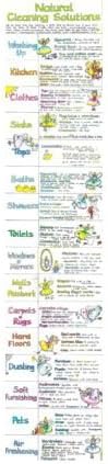 [ NATURAL CLEANING SOLUTIONS CHART ] By Cook, Liz ( AUTHOR ) Nov-1999[ Wallchart ]