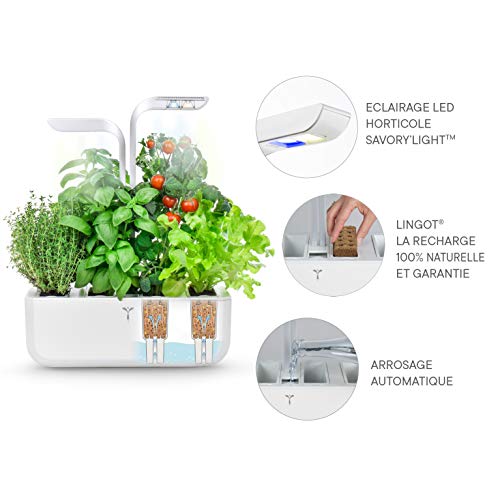 Véritable® Classic (bianco) - Orto da interno Made in France - Il giardino autonomo intelligente viene fornito con 4 Lingots® - Image 6