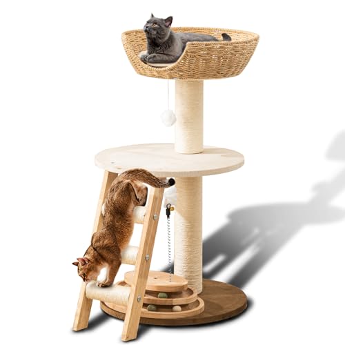 VRؐ_Lbgc[ gbvLbcxbht j[Nł킢L̉Ƌ ANeBreBZ^[ TCU[vXNb`|Xgt Lbg^[ Rh~jA C^NeBuȔL̖̂