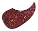 Dopro Vintage Tortise Teardrop Style Acoustic Guitar Pickguard Scratch Plate with Self Adhesive