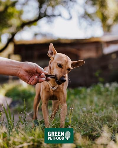 Green Petfood VeggieDog Denties (13 x 180 g) | Adult | Premium Kausnack für Hunde mit Tapioka & Kartoffel | Leckerli, Snack & Zahnpflege in einem | vegan | getreidefrei | Ergänzungsfutter | 13er Pack