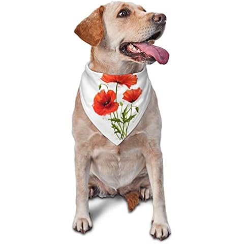 AXETVSOK Adjustable Soft Puppy Bandana, Red Poppy Dog Bandanas, Machine Washable Scarfs for Small Medium Large Dog Cover