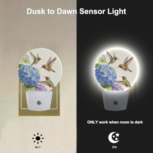 Image of Bird LED Lighting Green Hummingbird on Branch Night Lights Plug into Wall with Dusk to Dawn Sensor for Bedroom Bathroom Living Room, 0.5W Sleep Friendly