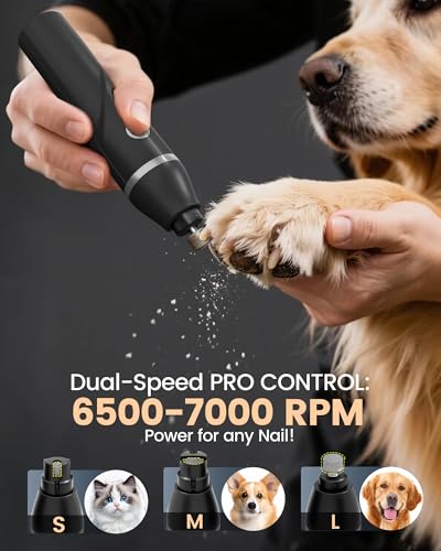 Image of 4 in 1 Dog Clippers for Grooming Thick Hair, 2000mAh Heavy Duty Dog Grooming Kit, 2-Speed Low Noise Dog Paw Trimmer with Nail Grinder for Body, Paws, Nail, Face, Ears, Legs