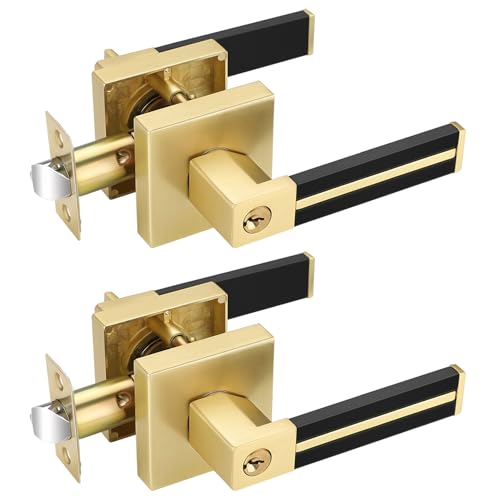 EHOMEWARE 2 Pack Gold Door Handles, Keyed Alike Brass Interior Door Levers with Black Leather Handle, Entry Door Handles Locksets for Bedroom Living
