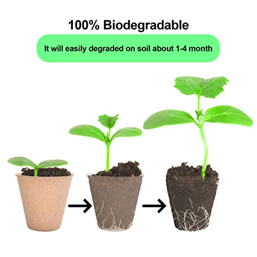 JERIA 50-Pack 3.15 Inch Peat Pots for Seedling with 50 Pcs Plant Labels,Outdoor Garden Germination Nursery Pots,Biodegradable Seed Starter Pots Kits - Image 6