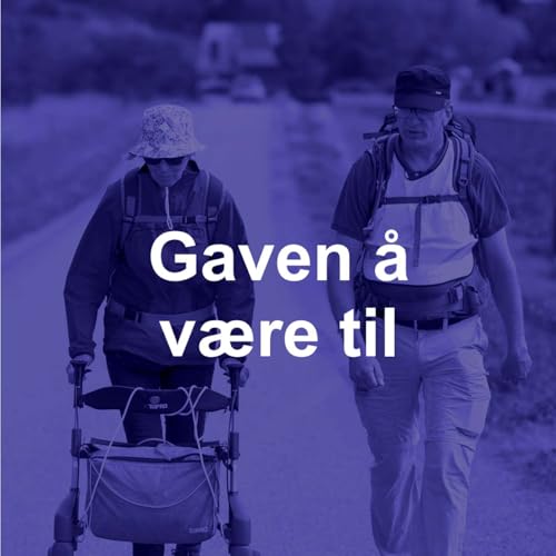 Gaven &aring; v&aelig;re til