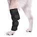 AGON® Canine Dog Hock Brace Rear Leg Joint Wrap Protects Wounds as They Heal, Compression Wrap, Heals and Prevents Injuries and Sprains Helps with Loss of Stability Caused by Arthritis (Medium)