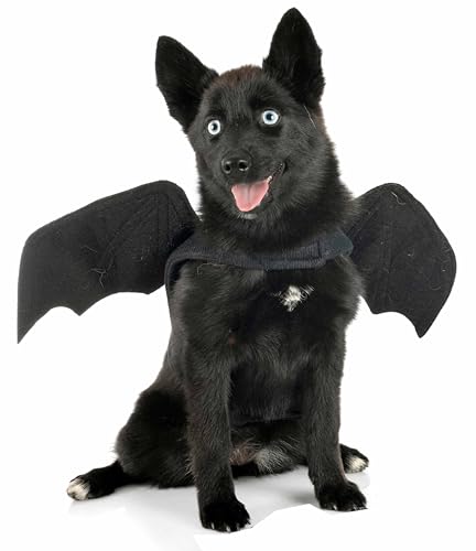 Disfraz Alas de Murciélago para Perro Grande