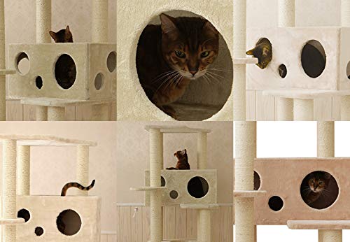 【Mau】猫ごはんLOWタイプブルー&ピンクセット 楽天市場 | オリジナルキャットタワー Mau - オリジナルキャット