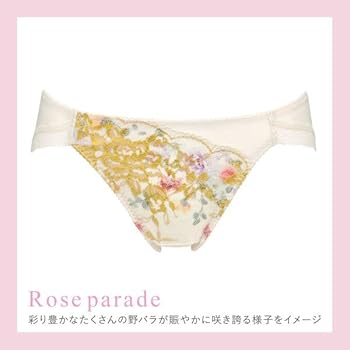 Wacoal 女神の秘密ブラジャーショーツ C70L Wacoal 女神の秘密ブラジャーショーツ C70L - 下着・アンダー