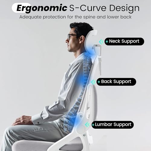 Fizzin Office Chair 400 LBS, High Back Ergonomic Computer Chair with Adjustable Lumbar Support & Headrest, Comfy Mesh Desk Chair for Long Hours (Gray) image 2