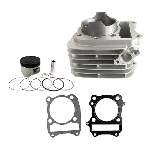 Kit cylindre piston joint DR200 DF200 1996-2009 pièces de rechange
