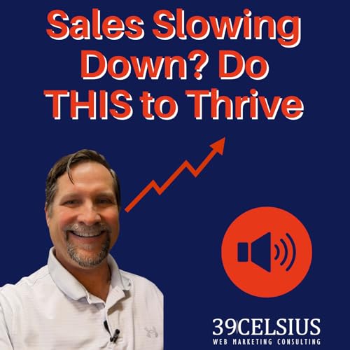 『Sales Slowing Down? 📉 Do THIS to Thrive (Not Just Survive!). (Backed By 4 Powerful Studies!) 💪』のカバーアート