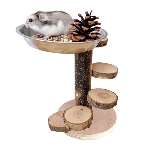 ؐ̂͂nX^[P[Ŵ - }`x̃ybgNC~O\AHו␅̂߂̃{EtubWv|VсA݁AoXAZkg[jÔ߂̏P[WANZT[A