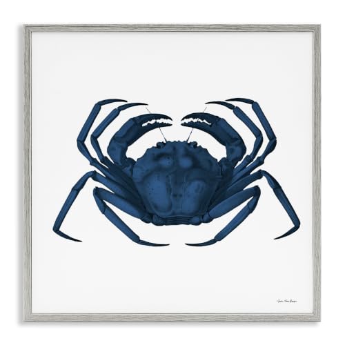 Cobalt Blue Fighting Crab Marine, 12 x 12 Inch Framed Giclée Print