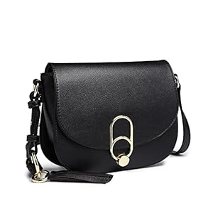 Miss Lulu Handbags Women Fashion Tassel Decoration Zipper Flap Small Shoulder Cross-Body Saddle Bag with Lock Closure