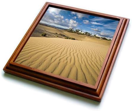 3dRose Spain, Canary Islands, Gran Canaria Island, Maspalomas Dunes NP. - Trivets (trv_344109_1)