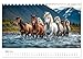 Icelandic Horses - Freedom in View (Desk Calendar 2026 DIN A5 Landscape), CALVENDO Monthly Calendar: A Piece of Iceland on Four Hooves