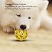 Asixxsix Dog Hollow Ball Toy, Rubber Dog Toy Puzzle Ball Bite Portable Chewing Pet Toy Ball Fun Interactive Pet Toy for Dogs Cats Pets (Large)
