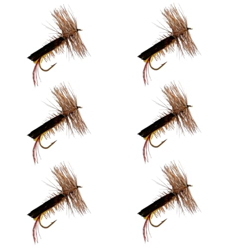 Feeder Creek Fly Fishing Flies | Terrestrial Fly Fishing Assortments | Trout and Bass Flies | Fishing Gear | Ants | Hoppers | Beetles | Fishing Lures (Joe's Hopper 6pc Size 10)