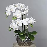 📏 Gesamthöhe: ca. 50cm, Material: Kunststoffmaterial; Textilfasermaterial; Keramik