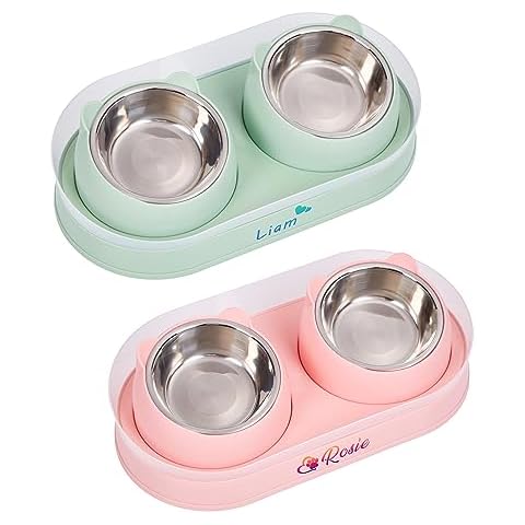 Personalized Cat Bowl Double Elevated Pet Dishes for Kitties Small Dog Food and Water Bowls Anti-Leak 15°Tilted Washable Stainless Steel Cover