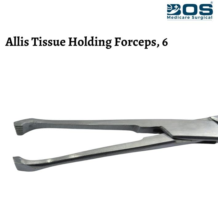 Image of Allis Tissue Holding Forceps 6 Inch | Stainless Steel Surgical Instrument for Tissue Clamping, Medical, Dental & Laboratory Use