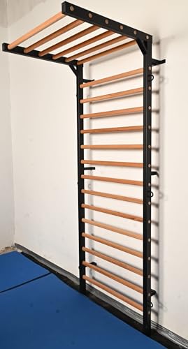 ARTIMEX spalliera in Metallo/Legno per Terapia Fisica e Ginnastica - utilizzato in Case, palestre, cliniche e Centri Fitness - 240x90 cm, Modello Spartan, codice 277