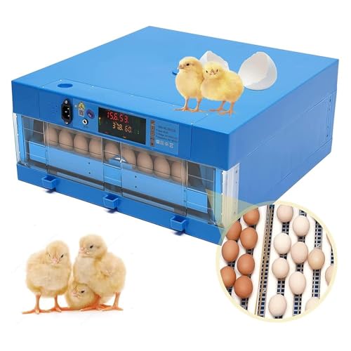 Huevos de gallina fértiles para incubar con volteador automático de huevos, control de temperatura, control de humedad y recarga automática de agua para pollos, patos y codornices