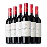 Viña Bujanda Tempranillo Rioja Joven 75 cl Vino tinto (Caja de 6 Botellas de 75 cl)