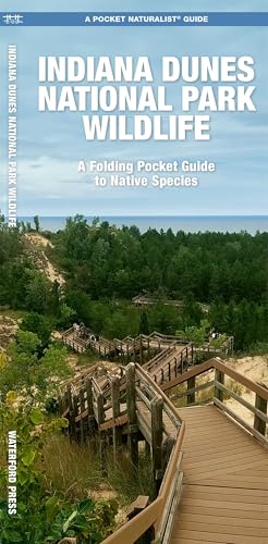 Indiana Dunes National Park Wildlife: A Folding Pocket Guide to Native Species (Parks & Public Lands Nature)