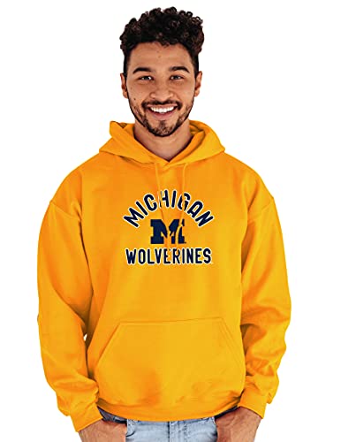 Blue 84 Men's Michigan Wolverines Hoodie Line Up Secondary Color, Michigan Wolverines Gold, Medium - Image 3