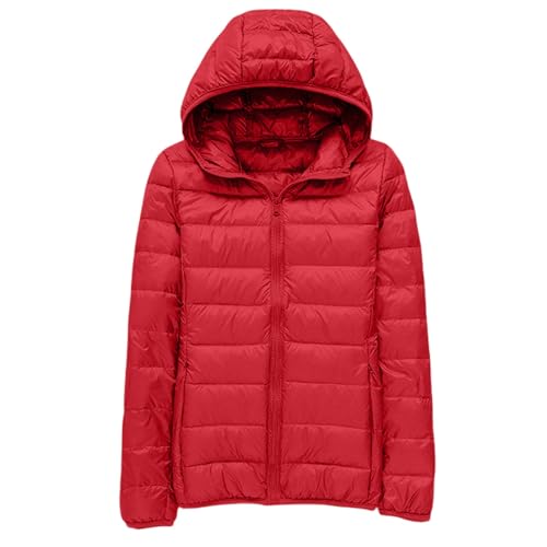 Vêtements chauds d'automne et d'hiver type manteau matelassé à capuche pour femme active
