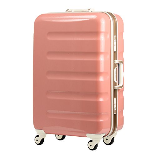 WFhEH[J[ X[cP[X ÉLX^[ TSAbN Nۏ sNJ[{ SSTCY-47cm