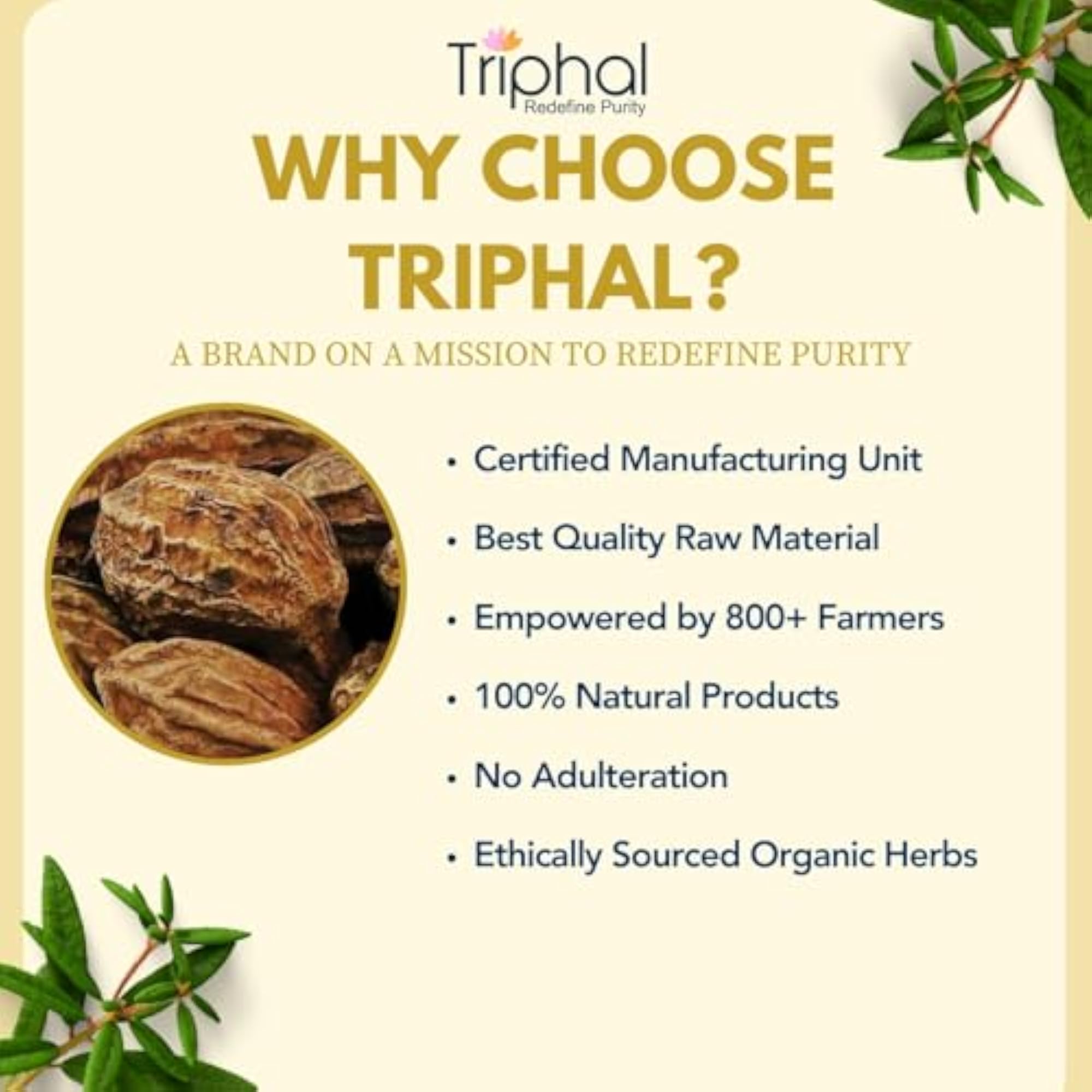 Haritaki Organic Edible Ink Nut Whole for Digestion
