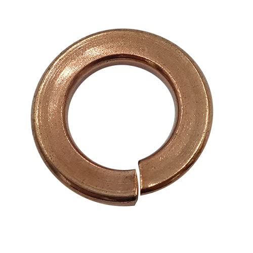 lWi XvObV[2 Ӑ M3 (100)