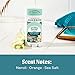 JUKEBOX Natural Deodorant for Women–Sky Blue Malibu Scent- Aluminum-Free, No Baking Soda, No Harsh Chemicals, Odor Blocking Technology, Neroli, Orange, Sea Salt-a Dr. Squatch Brand-2.65oz
