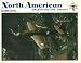North American: Aircraft, 1934-1998, Vol. 1