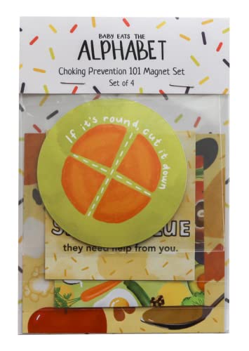 Choking Hazard Magnet Set (Set of 4) | BLW | Baby-led Weaning Set Supplies | Choking Prevention | BLW Guide | Baby Feeding | Choking Sign | Food Chart | First Aid