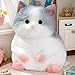 YJPPDD Big taba Squishy Cat, Handmade Squishy Cat for Adult/Kids, Stress Relief,Cute & Soft Cat Design, Perfect Squeeze Toys Gift for Relaxation and Fun (Blue Cat)