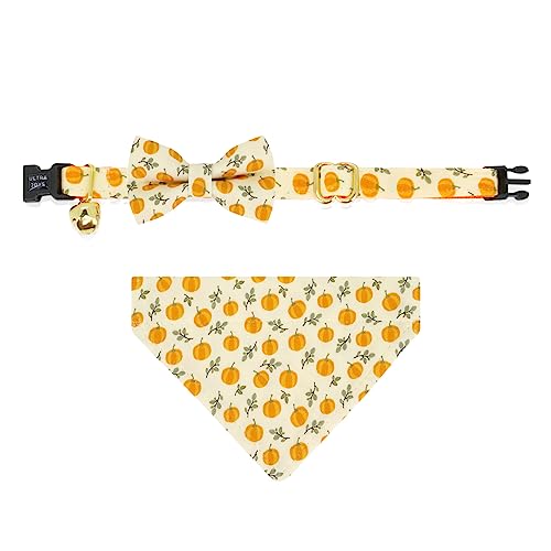 Ultra Joys L xt - LAj̎q&̎q̂߂̕ L̎ xtqL̎ - L̂߂̃uCNAEFCJ[ - o_iƃ{E^CpvLtL X[