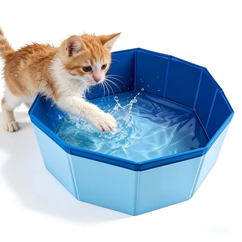 Lysjoy Katzenpool 30 × 10cm Hundepool Klein Faltbarer Katzen Pool Hundeplanschbecken Planschbecken Klein für Katzen und Hunde zum Spielen im Wasser Baden und Ausruhen (Blau)
