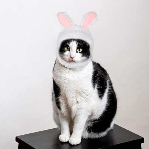 WLLHYF Süße Katze Wintermütze Warm Weich Bequem Verstellbar für Kleine Haustiere Kopfbedeckung Kostüm Kleidung für Katzen, Hunde (Weiß)
