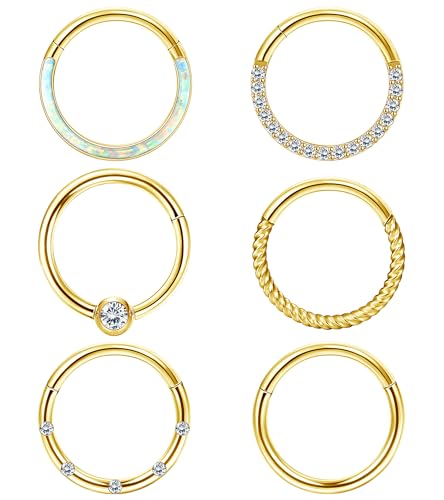 LOLIAS Septum Rings 16G 18G Surgical Steel Nose Rings Hoops for Women Seamless Clicker Hinged Segment Hoop Lip Nose Rings Conch Lip Helix Cartilage Earring Septum Jewelry Lip Nose Daith Hlix Piercing Jewelry 8MM 10MM 12MM
