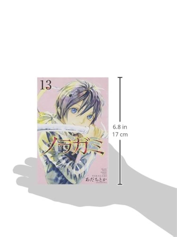 ノラガミ(13) (月刊マガジンコミックス) | あだち とか |本
