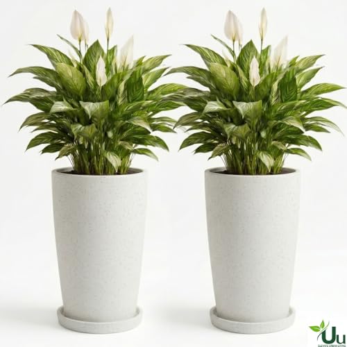 Image of Urban Upvan 18 Inch Solid White Tower Pot with Tray - Large Round Planter for Indoor & Outdoor Plants, Durable Decorative Plant Container (Pack of 2)