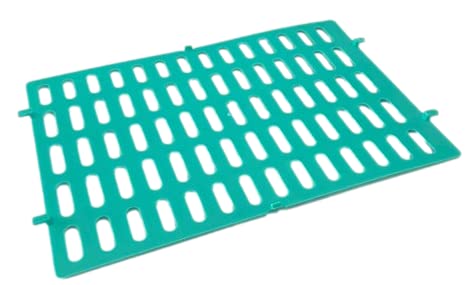 All Things Bunnies Colorful Rest Mat (Teal)