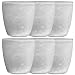 6 Pack Zak! Arctic Glass Freezable Double Walled Insulated 7.5oz Cocktail Glasses Tumblers