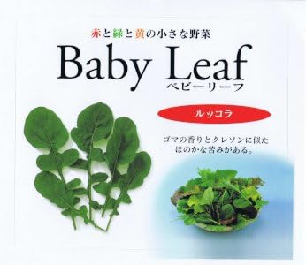 Amazon Co Jp 種子 ベビーリーフ ルッコラ 1dl Diy 工具 ガーデン
